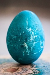 Easter Egg-0089